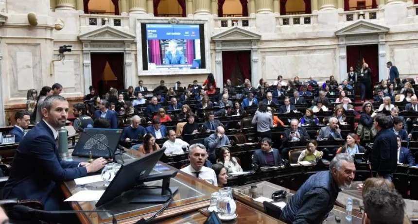 Milei celebró la validación del DNU por parte del Congreso