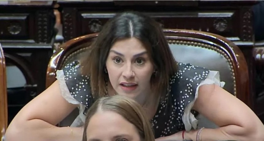 La diputada Pagano denunció que Martín Menem la amenazó y hostigó