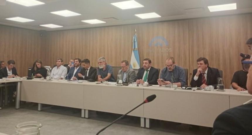 Organismos nacionales y provinciales cargaron contra el gobierno de Milei por la falta de obra pública