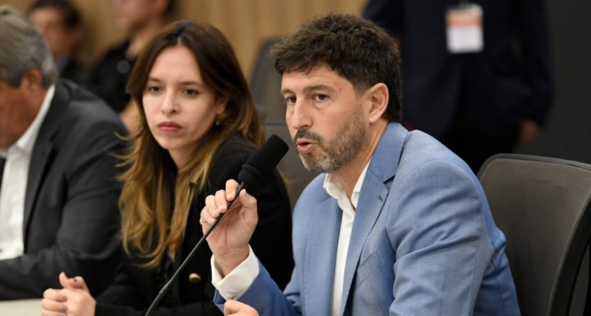 Funcionarios riojanos expusieron sobre proyectos mineros ante Diputados