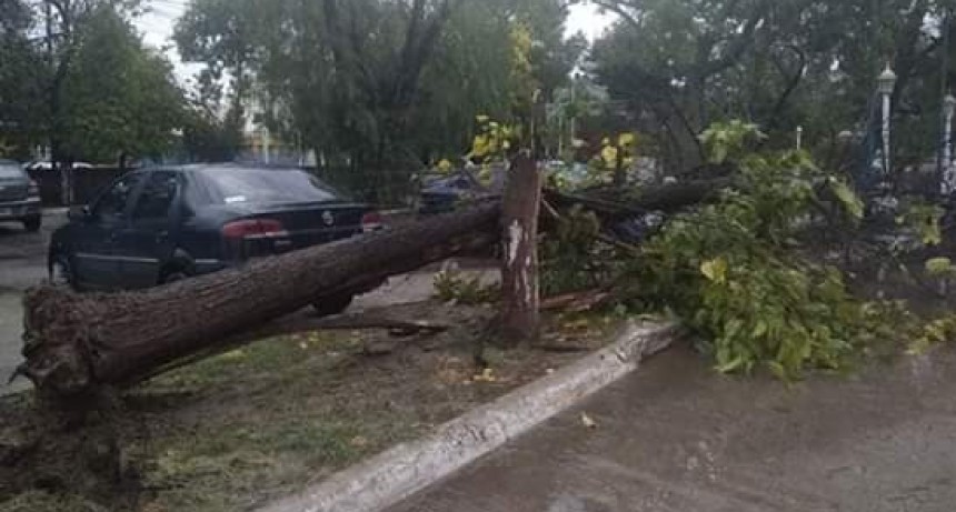 Municipio de capital asistió a vecinos luego de la lluvia