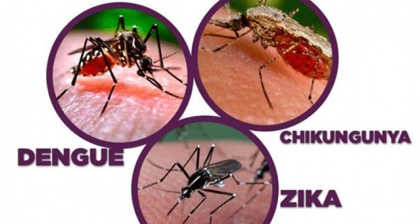 Alerta epidemiológica por el dengue