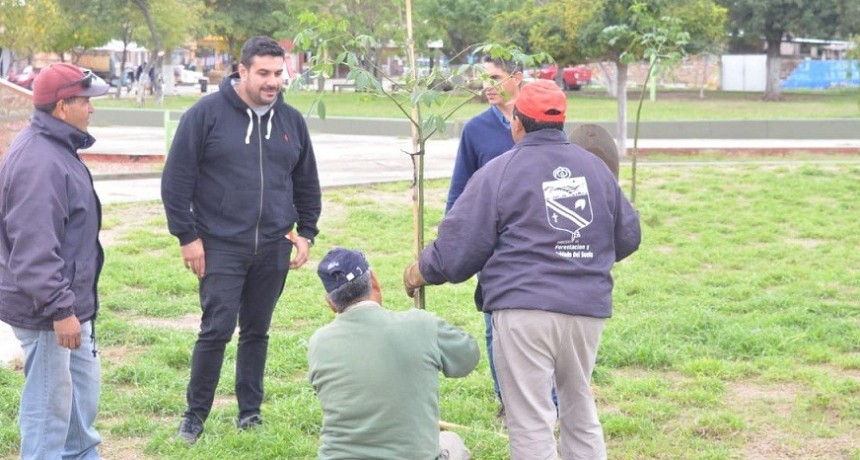 Municipio mejora la plaza Monseñor Angelelli 