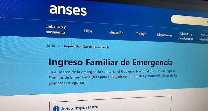ANSES informará este lunes quienes podrán continuar el tramite del IFE