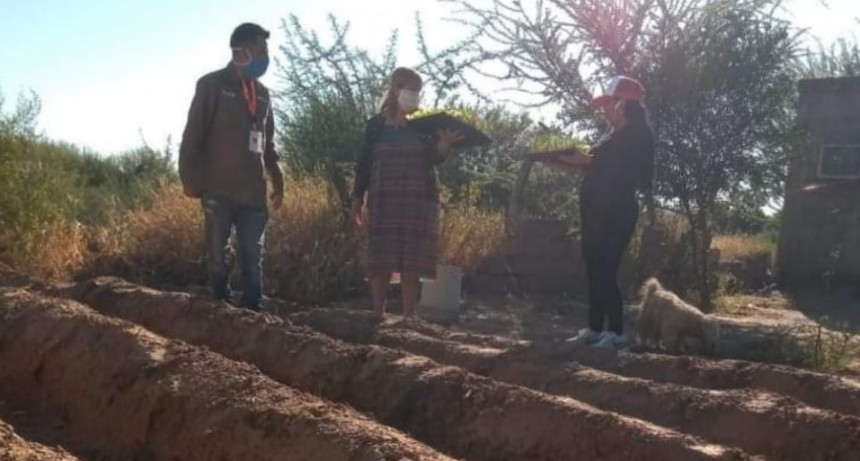 Agricultura trabaja para que 20 mil familias tengan sus huertas