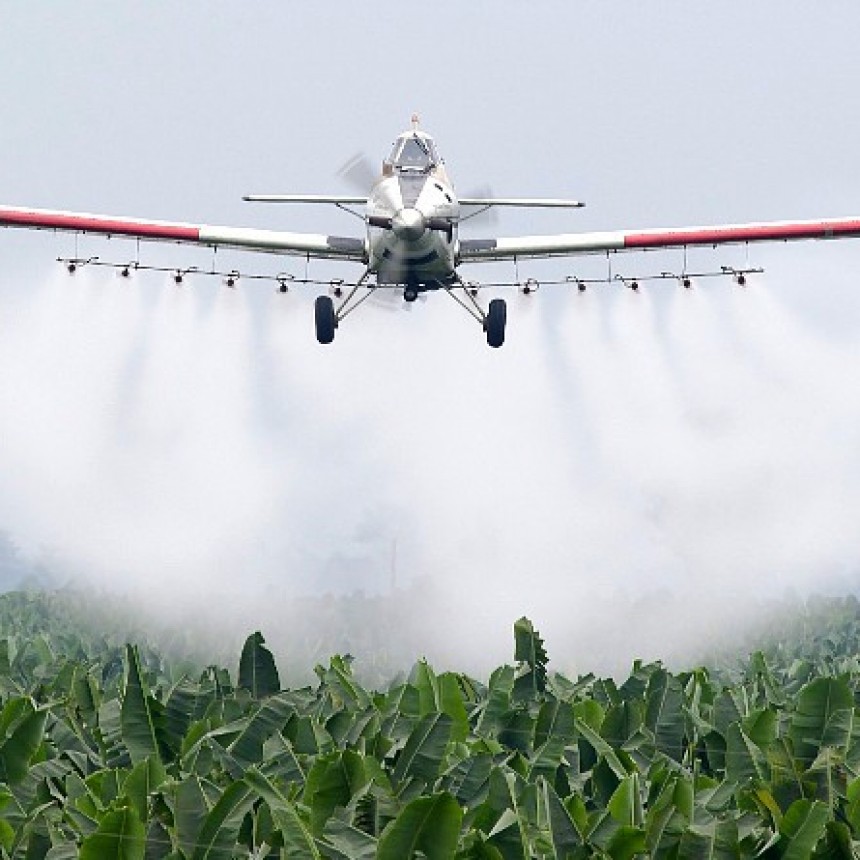 Continúan las tareas de fumigación en distintos puntos de la ciudad