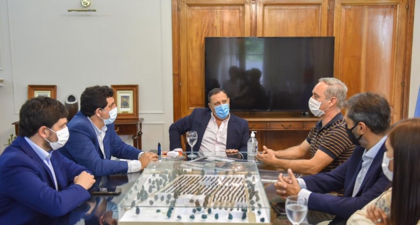 El proyecto de cannabis medicinal avanza a pasos agigantados
