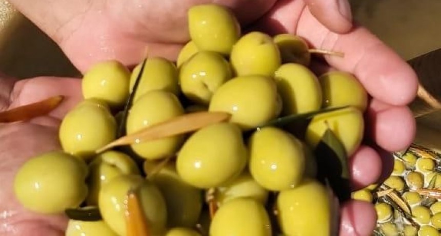 Agroarauco aumentó su producción y se mantiene con fondos propios