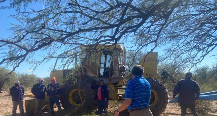  Inició el programa de desarrollo ganadero Plan Buffel Grass