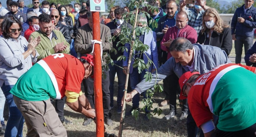  Quintela lanzó el Plan de Forestación y Arbolado para contrarrestar el cambio climático 