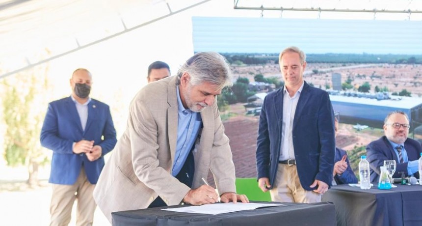 Autorizaron a La Rioja inscribir una de las dos primeras cepas nativas de cannabis para uso medicinal en la Argentina 
