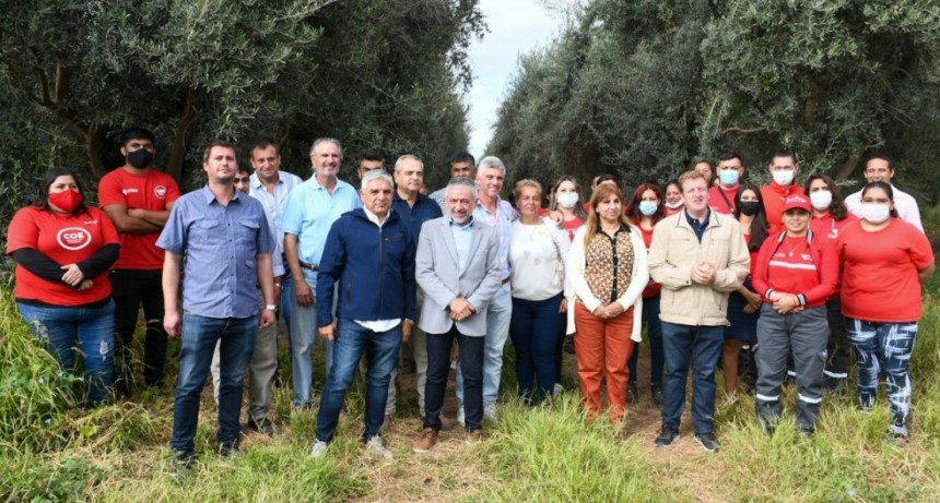 El gobierno consideró exitoso el fin de cosecha de aceitunas en la provincia 