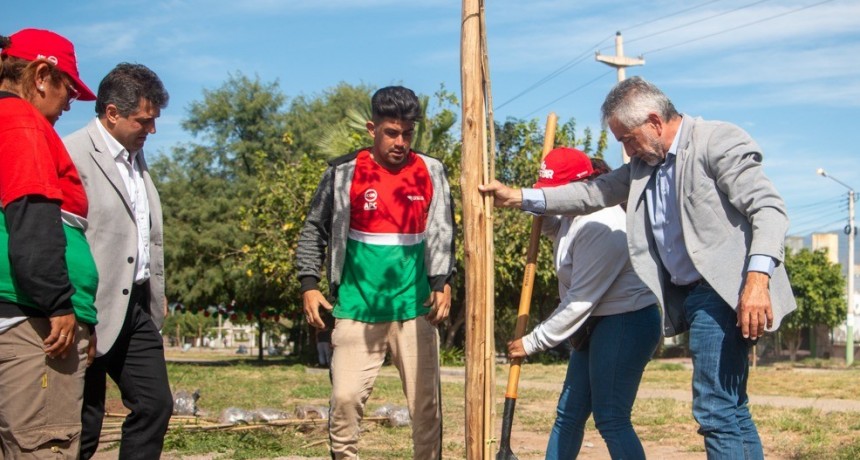 Avanza el Plan de Forestación con 150 árboles por día 