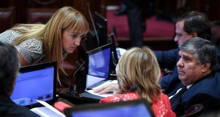 El Frente de Todos se convertirá en un interbloque en el Senado