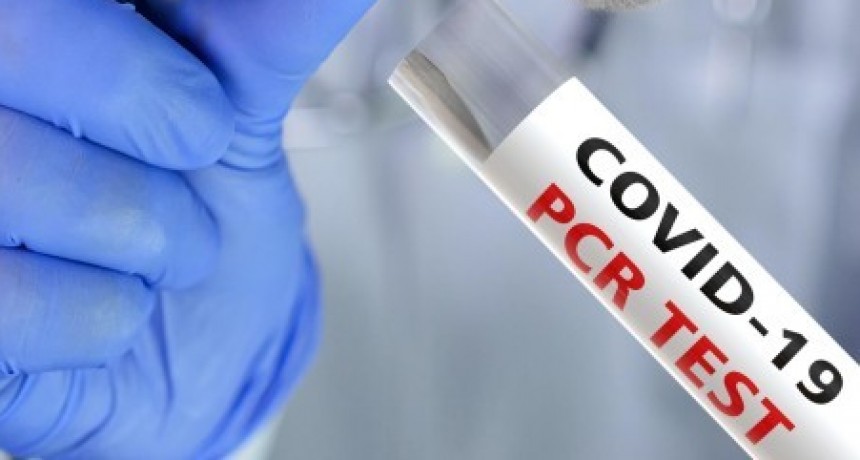 Covid-19 en Argentina: 11.307 casos y 198 muertos en la última semana