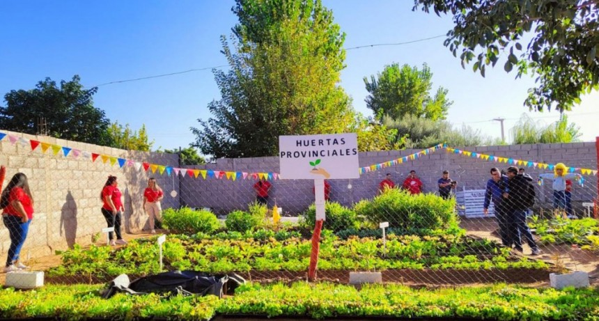 Se realizó el lanzamiento del programa ¨Huertas Familiares