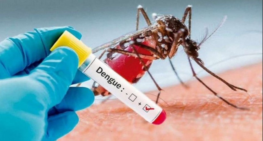 Dengue: Salud reportó 27 casos acumulados