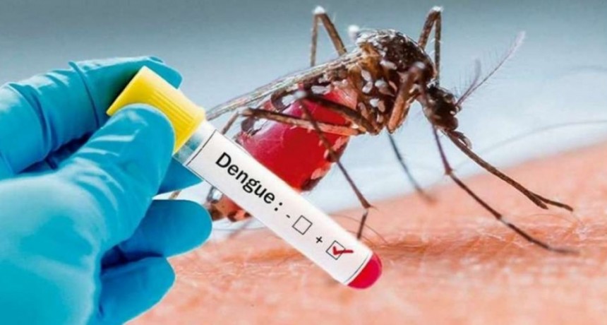  La Rioja tiene 48 casos confirmados de dengue