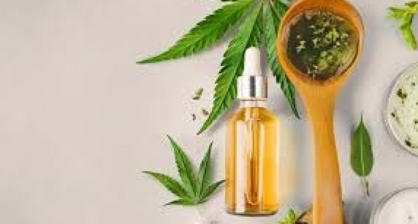 Salud amplió a tres años la autorización que otorga el REPROCANN para el cultivo de la planta de cannabis y agilizó los tiempos de su tramitación
