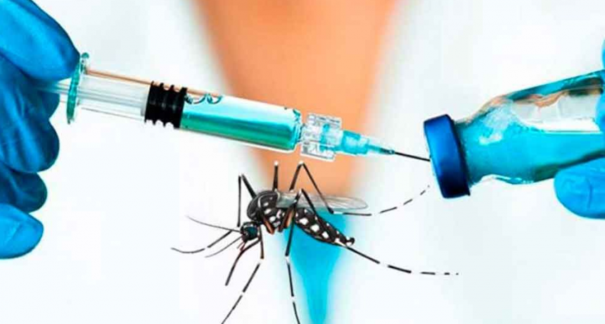 La ANMAT aprobó el uso de la vacuna del laboratorio Takeda contra el dengue