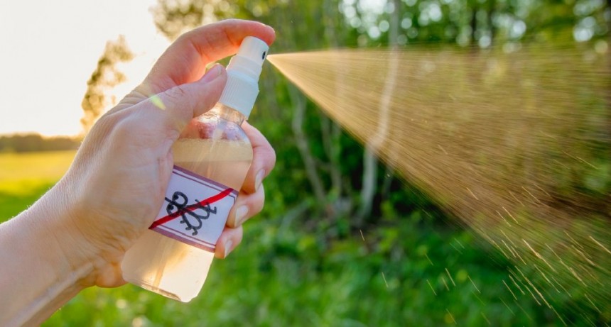 Dengue: especialistas advierten sobre el uso de repelentes y piden asistencia del estado para la producción del producto
