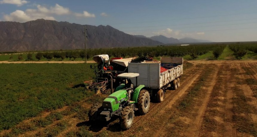 En abril Agroandina alcanzó idéntico récord de cosecha que en 2023