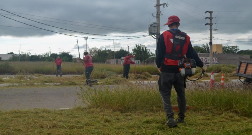 Municipio realizó limpieza integral en zona sur
