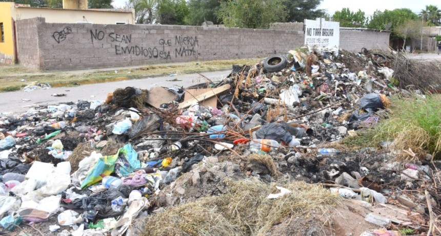Ins&oacute;lito: Municipio limpi&oacute; 9 veces el mismo sector y vecinos vuelven a tirar basura