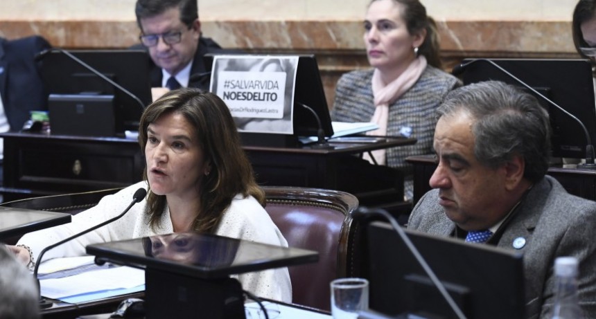 El senado aprobó la ley 