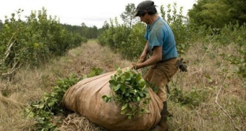 El gobierno lanzó programa para fortalecer el sector agrícola riojano