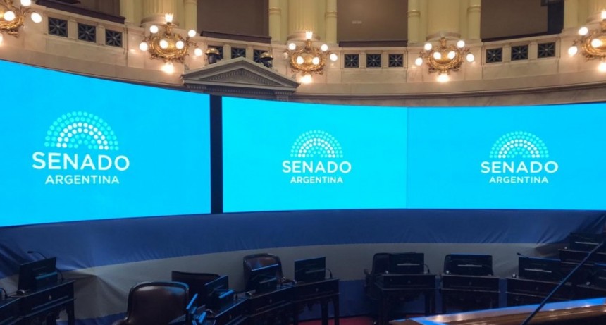 Senado debate el proyecto oficial sobre criterios para combatir la pandemia