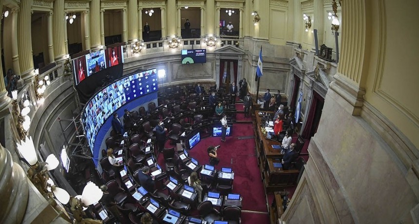Senado rechazó el avance judicial sobre las facultades del Congreso