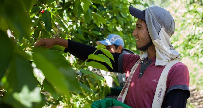 El RENATRE llama a los trabajadores rurales que cuenten con la Prestación por Desempleo a cobrar su beneficio por medio de transferencia bancaria