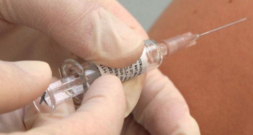 Se distribuyeron 5 millones de vacunas contra la gripe y el neumococo