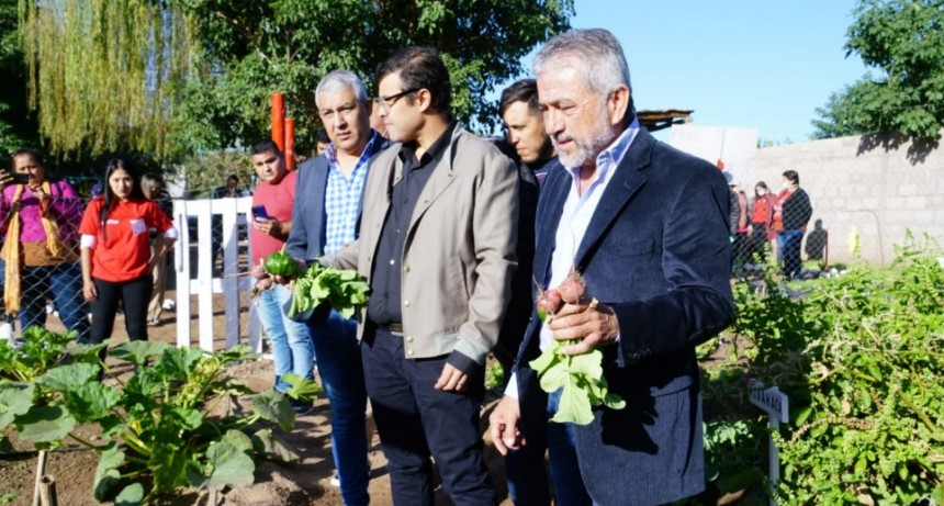 La Secretaría de Agricultura lanzó la nueva temporada 2022, del exitoso Programa de Huertas Familiares