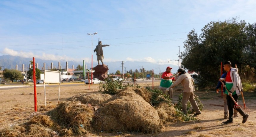 Avanza el Plan Forestar en la zona sur