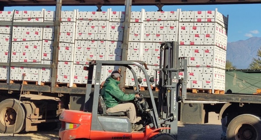 Hortícola Riojana llegó a Brasil con 24 toneladas de ajo