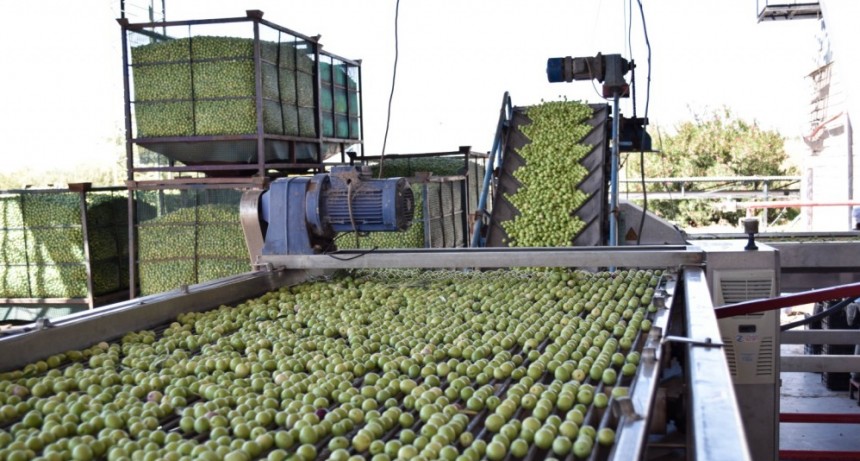 Las empresas estatales agrícolas registraron una temporada de cosechas altamente productiva 