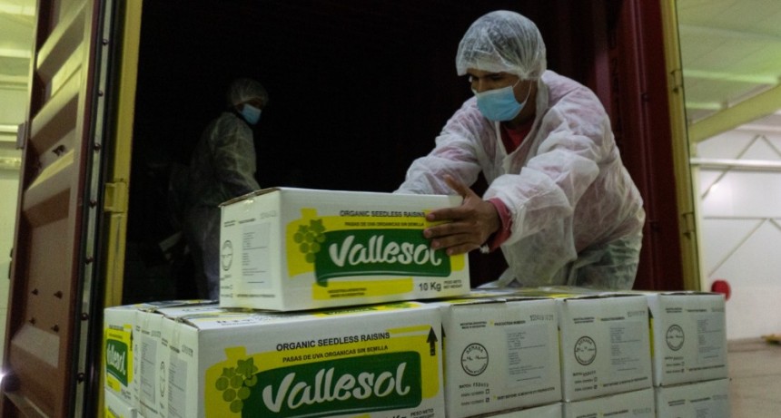 Las pasas de uva de Vallesol fueron exportadas a Inglaterra