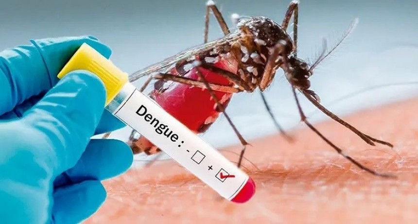 Dengue: Ya son más de 8500 los casos reportados en La Rioja