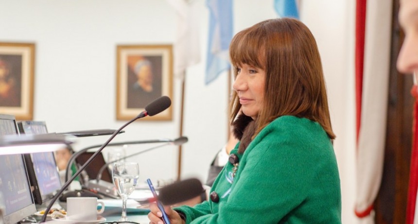 Convención Constituyente: Reformaron parcialmente tres artículos de la Constitución Provincial