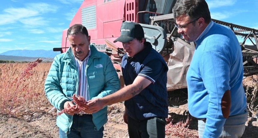 La Rioja apuesta a la producción de quinoa en el Valle del Bermejo