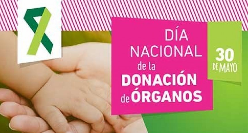 Realizaran actividades por el Dia Nacional de la Donación de Órganos