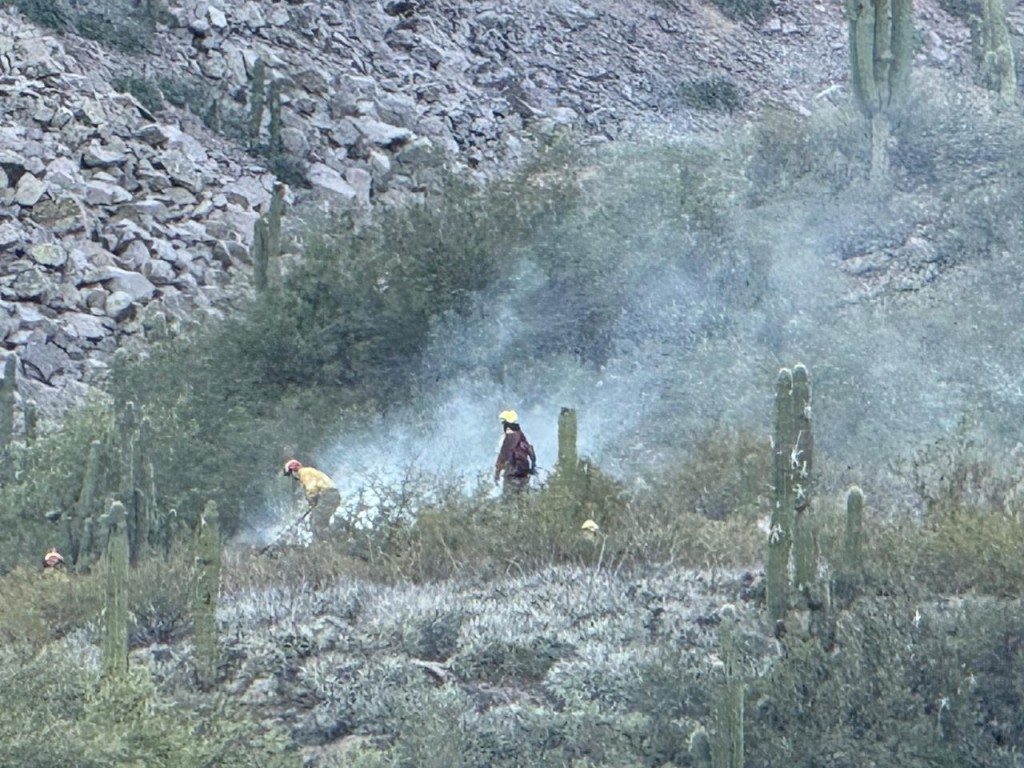 Se iniciaron tres incendios en distintos sectores de la provincia