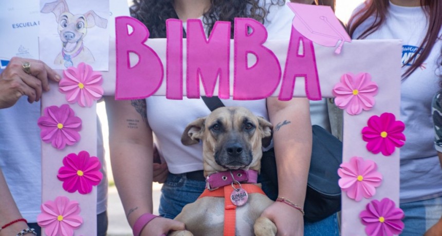 Municipio entregó más de 100 certificados de la Escuela de Adiestramiento Canino