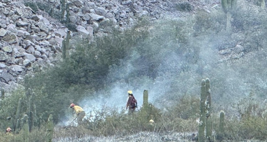 Se iniciaron tres incendios en distintos sectores de la provincia