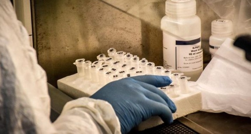 El Malbrán confirma que las variantes Manaos y Británica están en La Rioja 