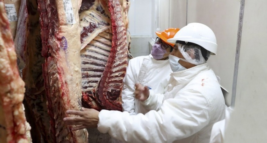 Reabren parcialmente las exportaciones de carne y amplían la oferta de cortes a precios accesibles