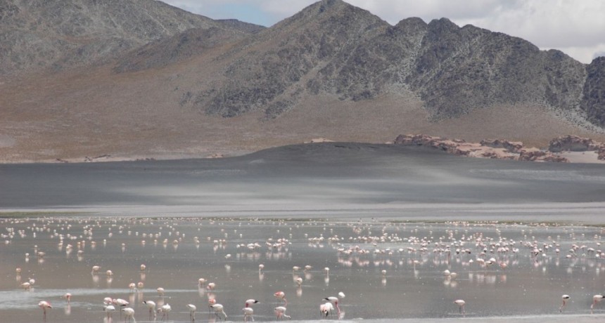 Siete pueblos turísticos de Argentina buscan el podio mundial