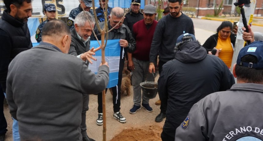 Recuperaron la calle Carlos Gardel y sumaron &aacute;rboles en homenaje a los h&eacute;roes de Malvinas